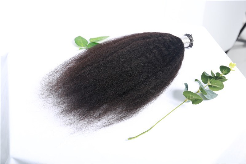 Malaysian Afro Kinky Curly Cuticle Aligned Hair I  Tip Hair Extensions