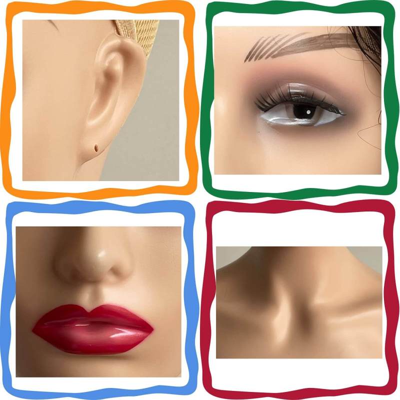 PWig Mannequin Heads 3Colors  Bust Female Realistic Manikin Head with Face and Shoulders for Wigs Beauty Accessories Displaying