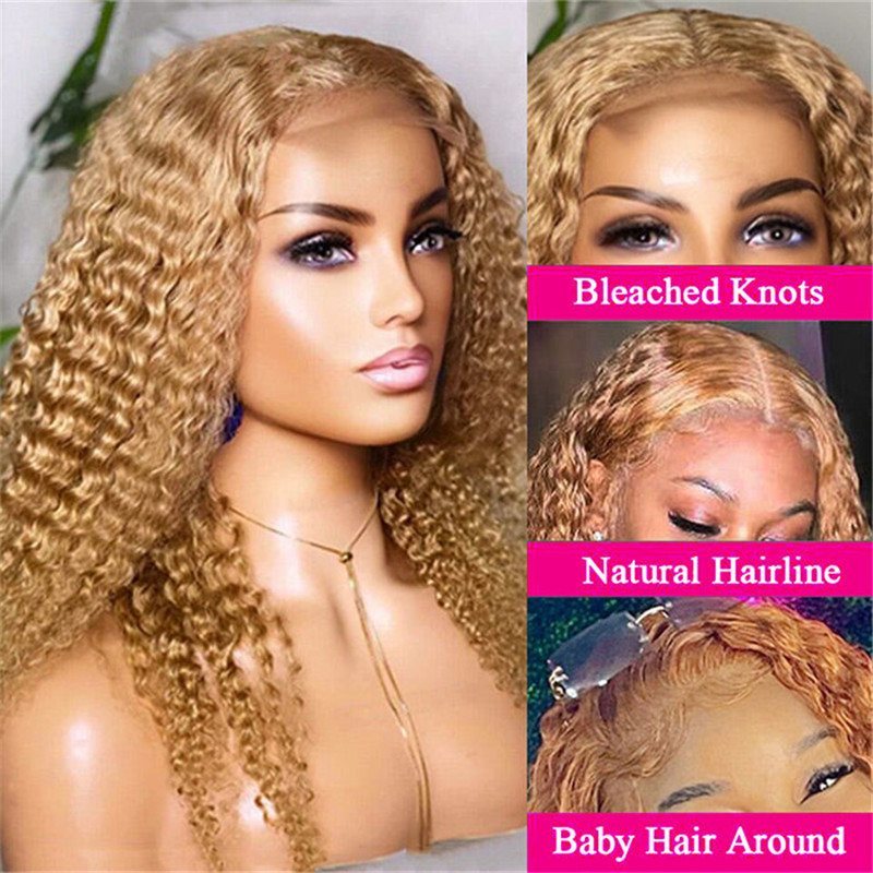 Honey Blonde Wig #27 Human Hair Wigs For Women Pre Plucked 13X6 Hd Lace Frontal Wigs