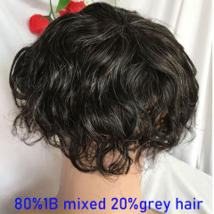 1B Mix 20% grey hair