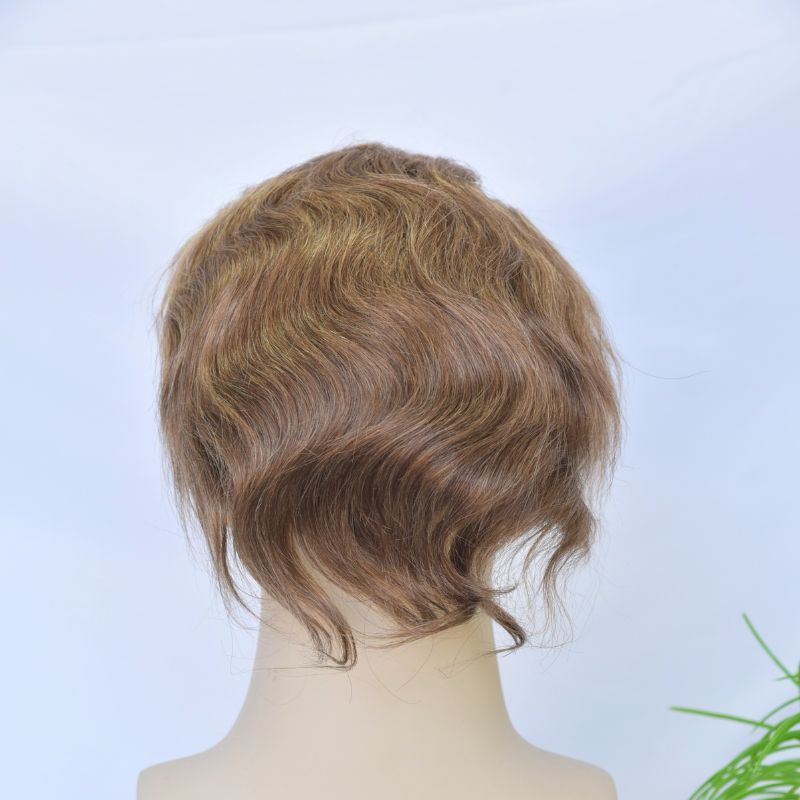 Pwigs Full French Lace Men's Toupee 4 mix 27 mix 613 Color 100% European Human Hair Toupee For Men 8 x10 Inch Lace Mens Wigs Hair System