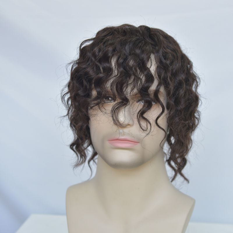Human Hair Wigs 100% Cambodian Human Hair Short  Natural Brown Loose Curly Wigs for Man and Woman 7 Inch Clip in Wigs