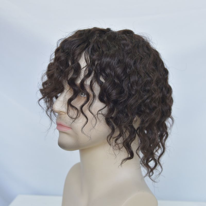 Human Hair Wigs 100% Cambodian Human Hair Short  Natural Brown Loose Curly Wigs for Man and Woman 7 Inch Clip in Wigs