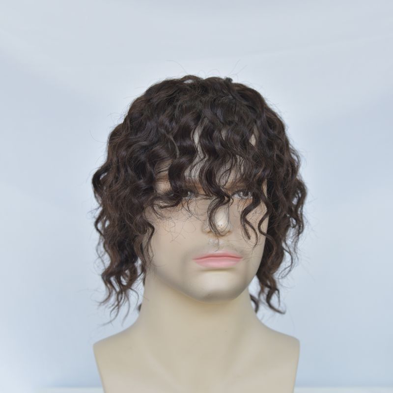 Human Hair Wigs 100% Cambodian Human Hair Short  Natural Brown Loose Curly Wigs for Man and Woman 7 Inch Clip in Wigs