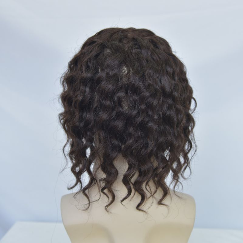 Human Hair Wigs 100% Cambodian Human Hair Short  Natural Brown Loose Curly Wigs for Man and Woman 7 Inch Clip in Wigs