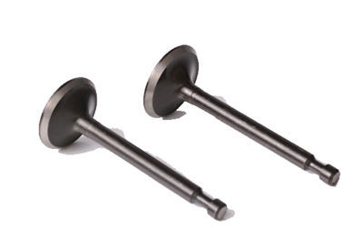 Intake and Exhaust Valves Kit Fits for China 170F 208CC 212CC 7-7.5HP Small Gas Engine