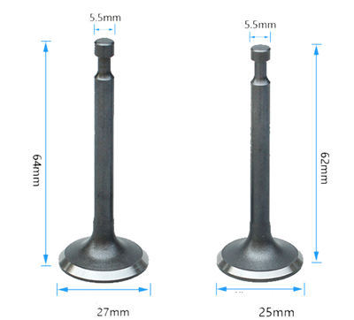 Intake and Exhaust Valves Kit Fits for China 170F 208CC 212CC 7-7.5HP Small Gas Engine