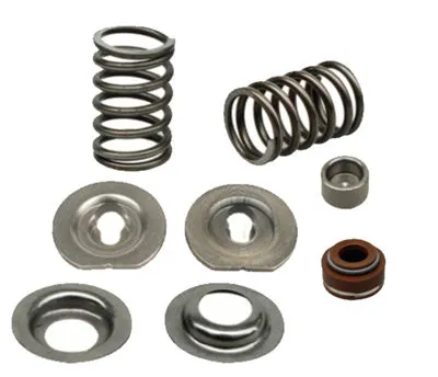 Valve Springs+Retainers+Roto Cap+Stem Oil Seal Kit Fits for China 182F 188F 190F GX390 GX420 11HP~16HP Small Gasoline Engine