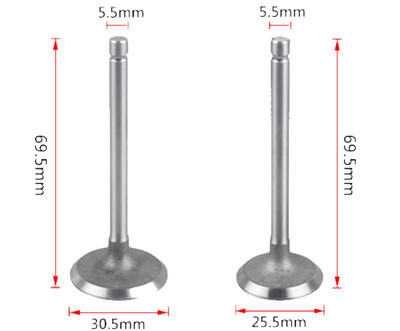 Intake and Exhaust Valves Kit Fits for China Model 170F 173F 4-5HP 211-247CC Small Air Cooled Diesel Engine