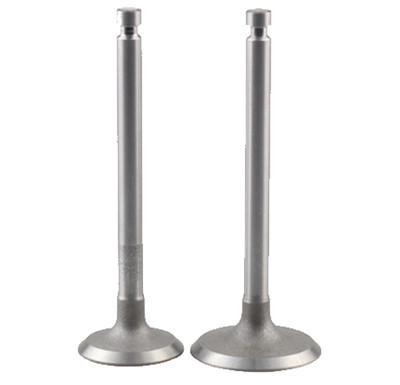 Intake and Exhaust Valves Kit Fits for China Model 178F 6HP 296CC Small Air Cooled Diesel Engine