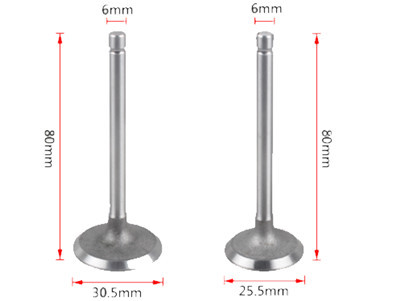 Intake and Exhaust Valves Kit Fits for China Model 178F 6HP 296CC Small Air Cooled Diesel Engine