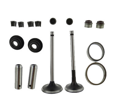 Valves Seats Retainers 16PC Kit Fits for China Model 186F 186FA 9HP Small Air Cooled Diesel Engine