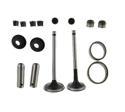 Valves Kit W/ Retainer Spring Oil Seal Accessories Kit Fits for China Model 188F 190F 11HP Small Air Cooled Diesel Engine