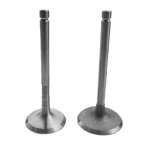 Intake And Exhaust Valves Kit For Model 192F 12HP 499cc Small Air Cooled Diesel Engine