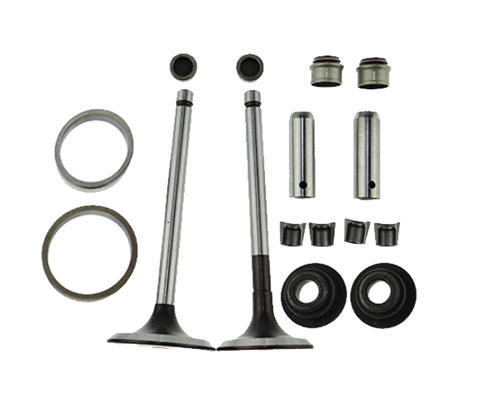 Valves+Seat+Guide+Stem Oil Seal Kit(16PC Set)For Model 192F 12HP 499cc Small Air Cooled Diesel Engine