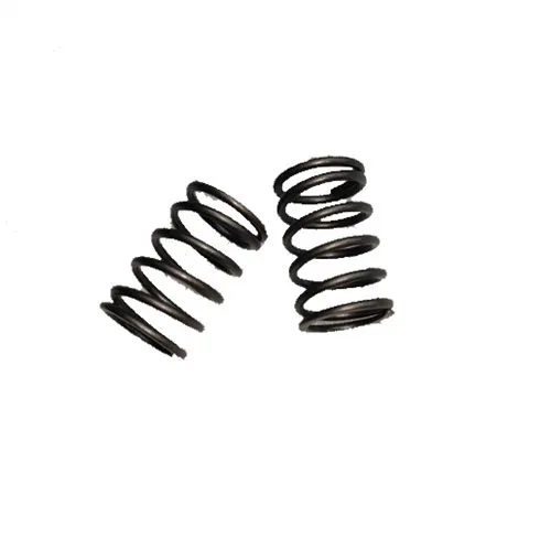 Valve Springs Pair Set Fits Predator 420CC 06 Bolt Cover Type Small Gasoline Engine