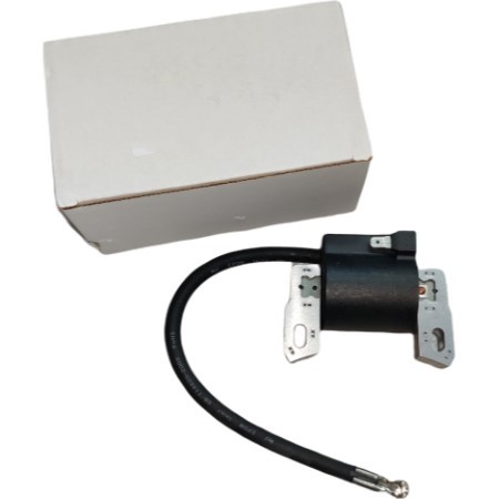 Quality Replacement Ignition Coil Fits For Briggs & Stratton 802574 493237 796964 121700 - 126700 Module