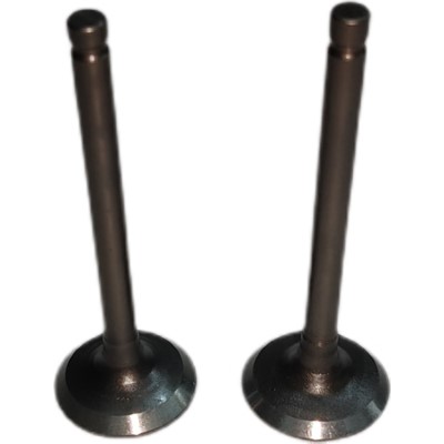 dk165 valves