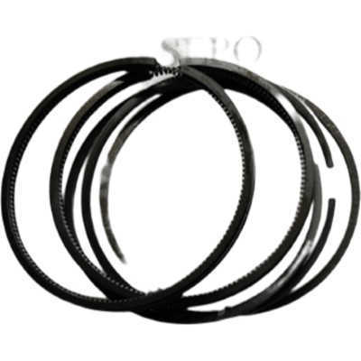 Piston Rings For Changchai S195 12HP Single Cylinder Water Cool Diesel Engine