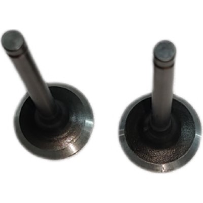 Intake and Exhaust Valves Kit For DK165F 149CC 2.8HP OHV Gasoline Engine DH12 Rammer Spare Parts