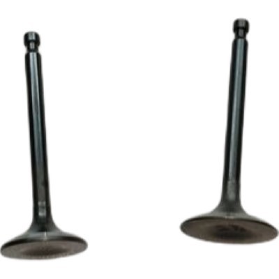 Intake & Exhaust Valves Kit For Loncin 2V78 768CC Horizontal Shaft 22HP V-Twin Gasoline Engine