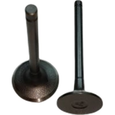Intake & Exhaust Valves Kit For Loncin 2P80F 764CC Vertical Shaft 25HP V-Twin Gasoline Engine Ride Mover Parts