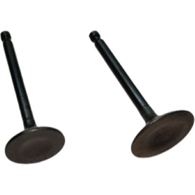 Intake & Exhaust Valves Kit For Loncin 2V78 768CC Horizontal Shaft 22HP V-Twin Gasoline Engine