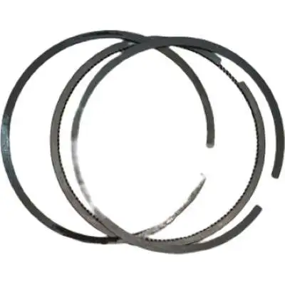 Piston Rings Set For 173F 73MM Bore Size 5HP 247CC Small Air Cooled Diesel Engine