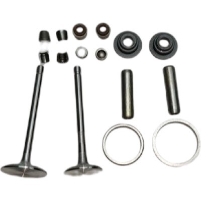 Valves Seats Retainers Stem Oil Seal Spring Clampers 16PC Kit Fits For 188F 11HP Small Air Cooled Diesel Engine