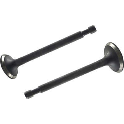 Intake & Exhaust Valves Kit Fits For Robin EY28 EY28B EY28C 175F Gasoline Engine RGX3500 Generator Parts