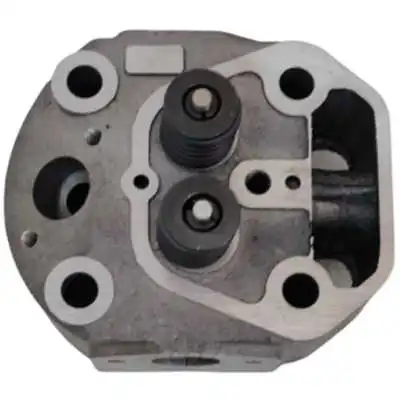 Engine Valve R180 Cylinder Head Complete(Model A) With Valves Springs Assembled For ...