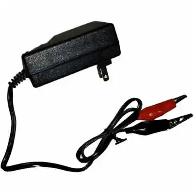 12V Battery Float Charger Input 110V-240V AC, Output 12V 2A DC