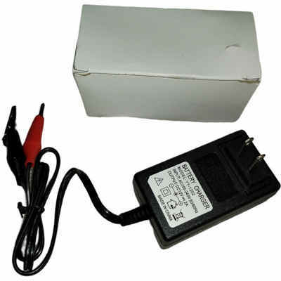 12V Battery Float Charger Input 110V-240V AC, Output 12V 2A DC