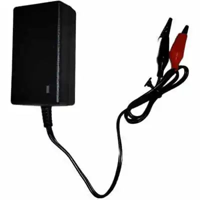 12V Battery Float Charger Input 110V-240V AC, Output 12V 2A DC