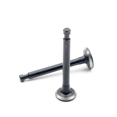 Intake and Exhaust Valve Kit Fits for China Model Zongshen S35 32cc 4 Stroke Small Air Cooled Brush Cutter Gasoline Engine
