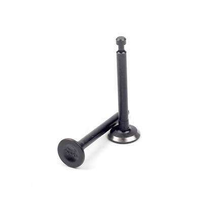 Valve Kit (Intake+Exhaust) For 139 139F 4 Stroke Small Air Cool Gasoline Engine Brush Cutter Trimer Spare Parts