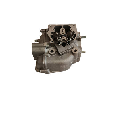 Other Side) Cylinder Head Complete With Valves Springs