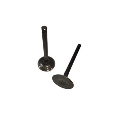 Intake Exhaust Valves Kit (In. & Ex) For Predator 61614 22HP 670CC V-Twin Horizontal Shaft Gasoline Engine