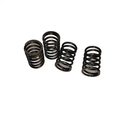 Valve Springs (4PC Kit) For Predator 61614 22HP 670CC V-Twin Horizontal Shaft Gasoline Engine