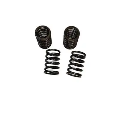 Valve Springs (4PC Kit) For Predator 61614 22HP 670CC V-Twin Horizontal Shaft Gasoline Engine