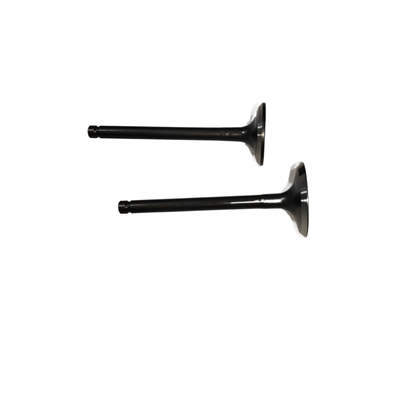 Intake Exhaust Valves Kit (In. & Ex) For Predator 61614 22HP 670CC V-Twin Horizontal Shaft Gasoline Engine