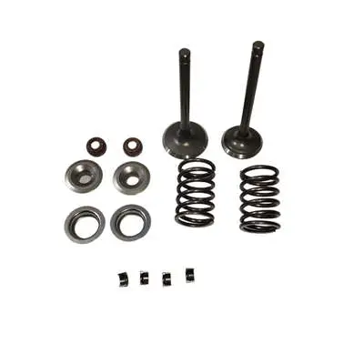 Intake Exhaust Valves Springs Clampers Retainers Stem Oil Seal Set (14PC Kit) For Predator 61614 22HP 670CC V-Twin Horizontal Shaft Gasoline Engine