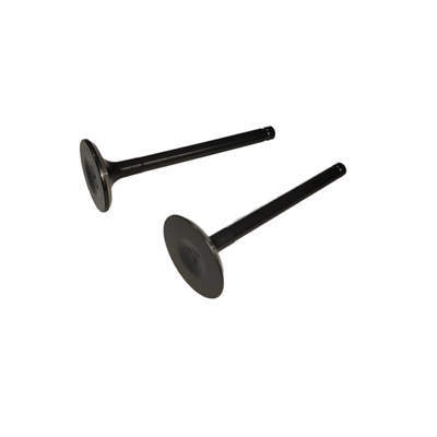 Intake Exhaust Valves Kit (In. & Ex) For Predator 61614 22HP 670CC V-Twin Horizontal Shaft Gasoline Engine