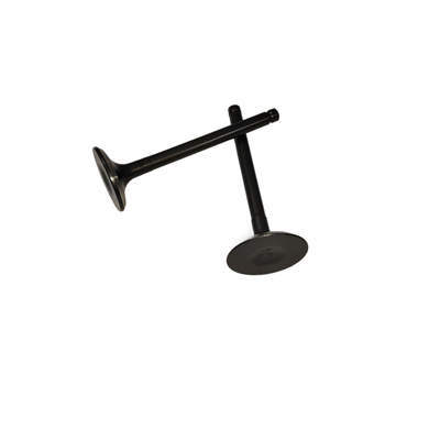 Intake Exhaust Valves Kit (In. & Ex) For Predator 61614 22HP 670CC V-Twin Horizontal Shaft Gasoline Engine