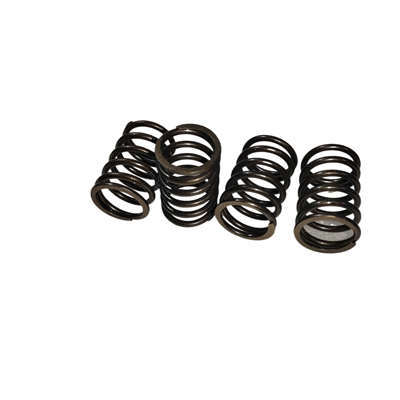 Valve Springs (4PC Kit) For Predator 61614 22HP 670CC V-Twin Horizontal Shaft Gasoline Engine