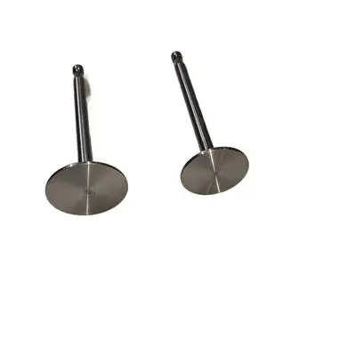 Intake and Exhaust Valves Kit For Changchai ZS1110 1115 ZS1110 S1115 Single Cylinder Water Cool Diesel Engine