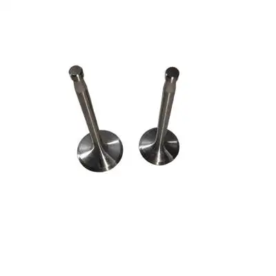 Intake and Exhaust Valves Kit For Changchai ZS1110 1115 ZS1110 S1115 Single Cylinder Water Cool Diesel Engine