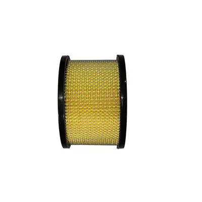 Air Filter Element Fits For Champion 224CC Horizontal Shaft Small Gasoline Engine