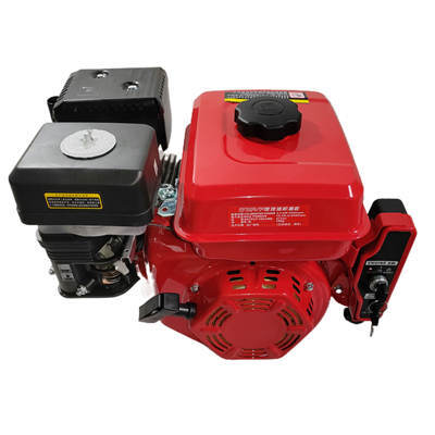 WSE170L Electric Start 208CC 7HP 4 Stroke Air Cooled Small Gasoline Engine W/. 20MM Key Straight Output Used For Water Pump,Gokart Purposes Etc.