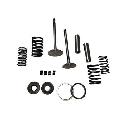 Valve,Guide, Seat, Retainer, Spring, Locker Kit(16 PC Set) For Changchai Or Similar ZS1110 1115 ZS1110 S1115 Single Cylinder Water Cool Diesel Engine